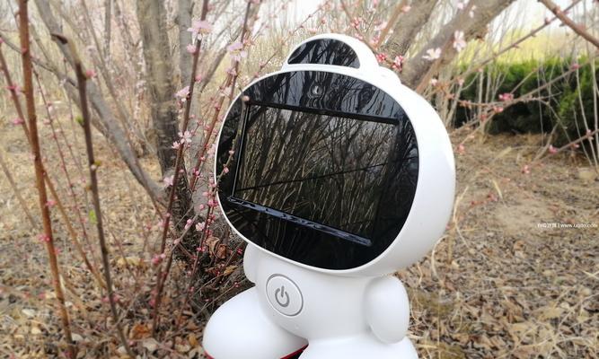 小天智能机器人（领先技术赋予人工智能更多可能）