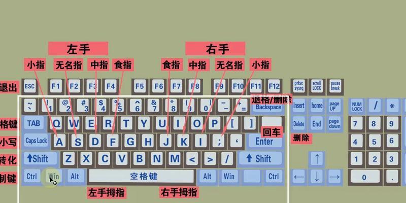 电脑键盘的认识与使用（发现键盘的奥秘，解锁高效办公能力）