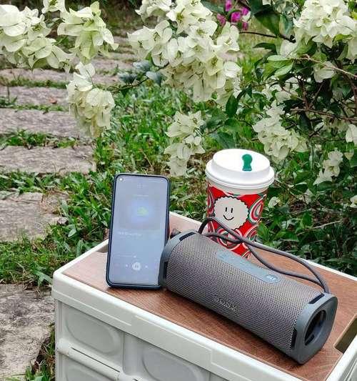 Sony蓝牙音响（探索音乐的无限可能，尽在你的掌握之中）