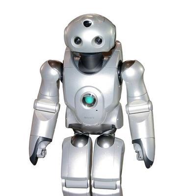 日本机器人（探索日本机器人产业的现状与发展趋势）