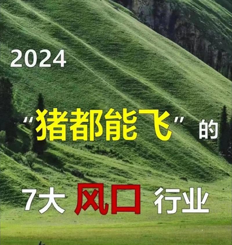 2024年，下一个风口是什么？,天空中的新赛道
