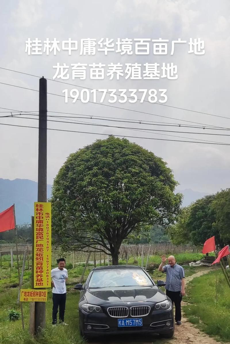 联想扬天4601c评测（性能强劲，适合办公和娱乐）