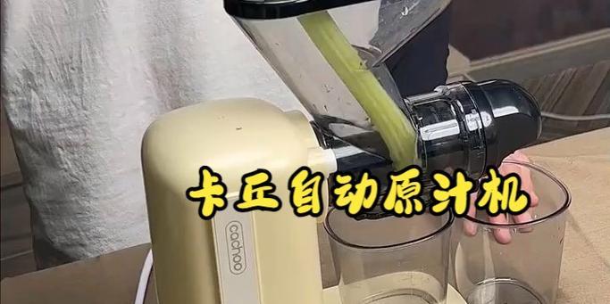 原汁机（探索原汁机制作果汁的健康乐趣）