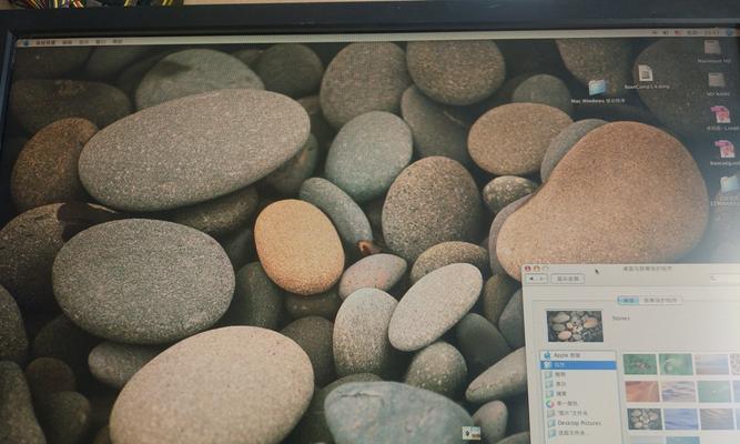 Dell2410（卓越性能、精准色彩再现，Dell2410带你进入视觉盛宴）