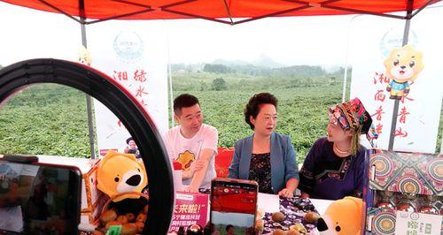 中华易购（解析中华易购的特点、用户体验和市场前景）